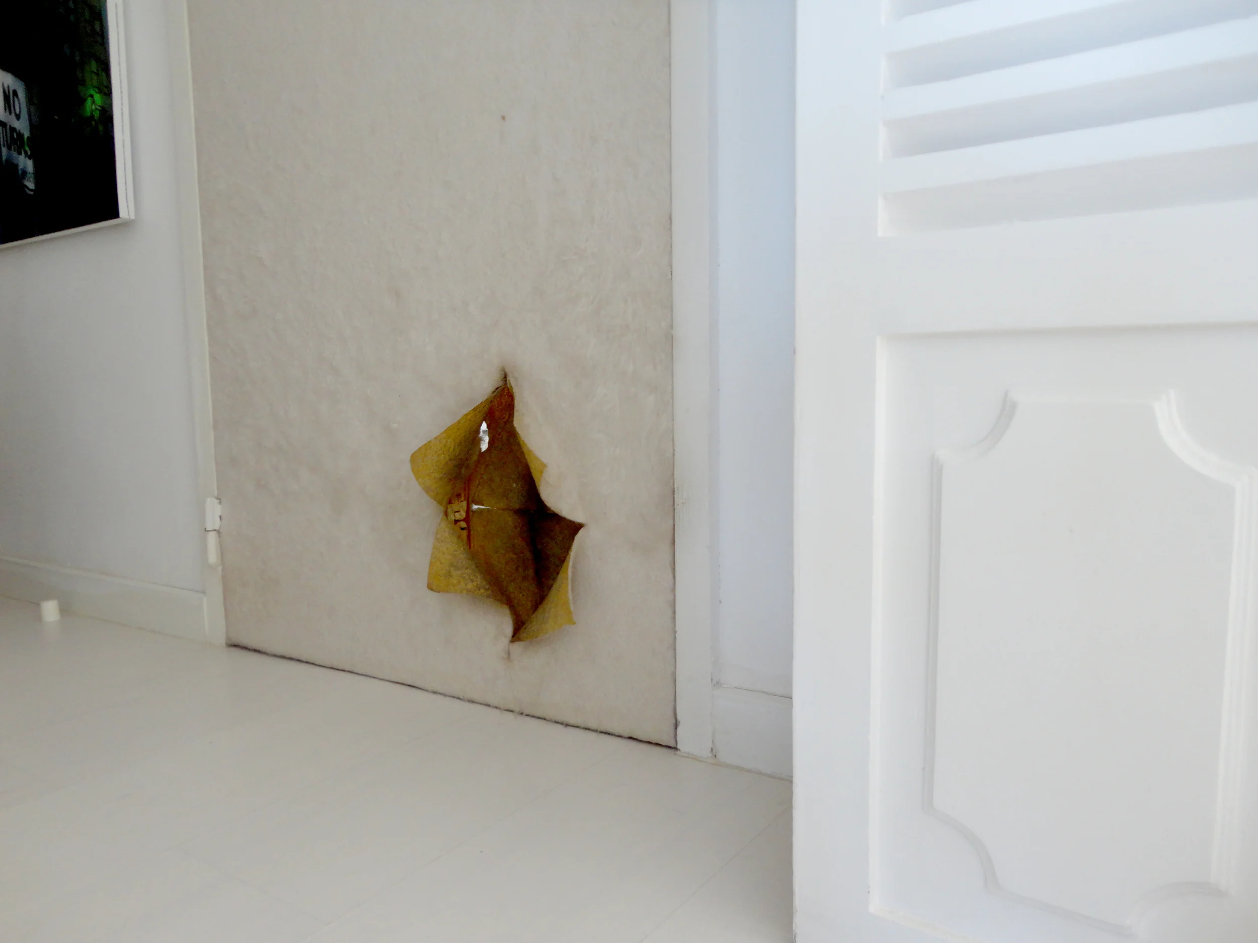 a porta que eu quis trazer para casa - é por aqui que a gataria passa para ir ou sair da cozinha.