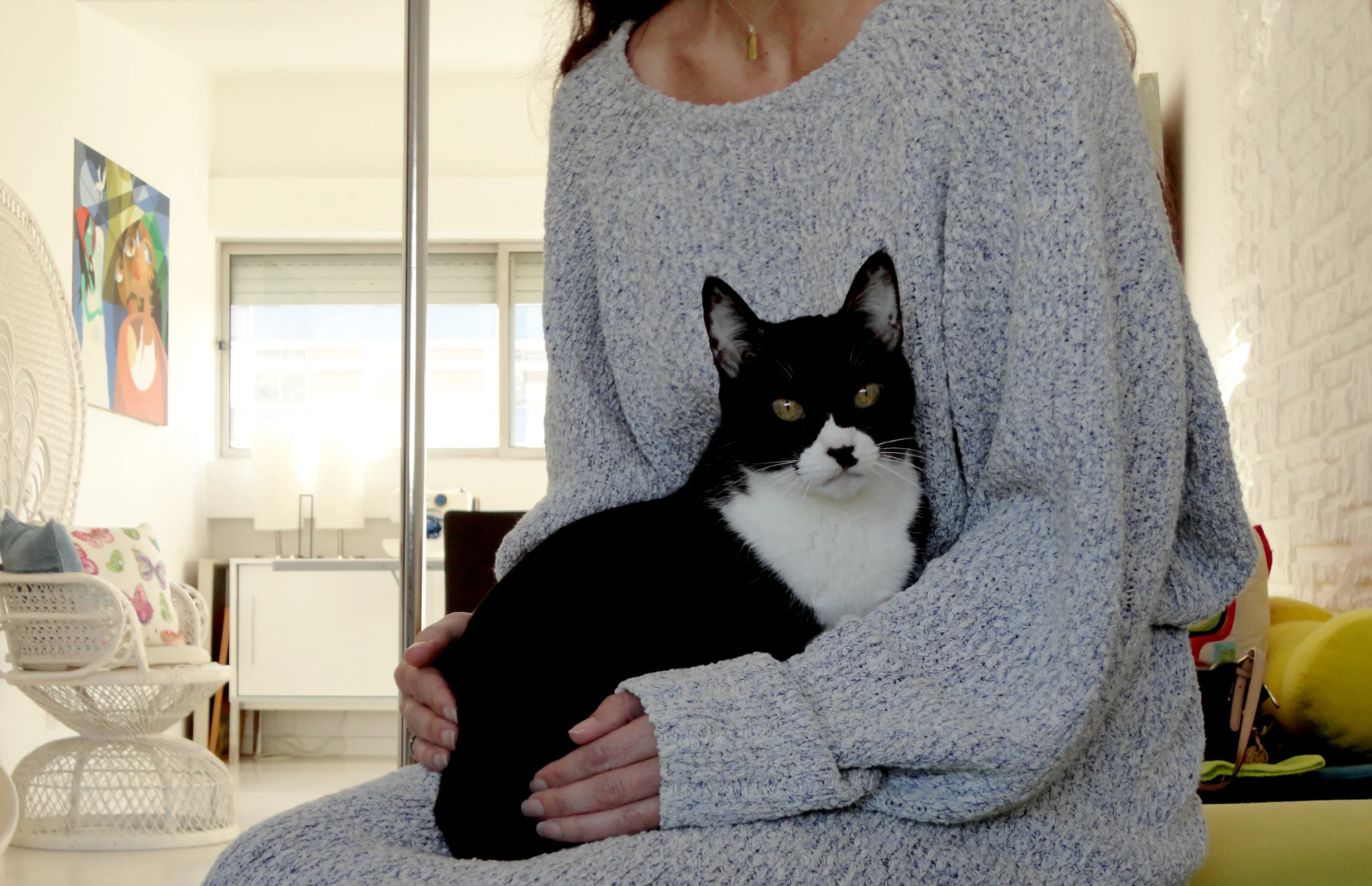 a princesa aqui é a Pindoim, uma gata meiga que gosta de festas e que dá turrinhas à sua dona.