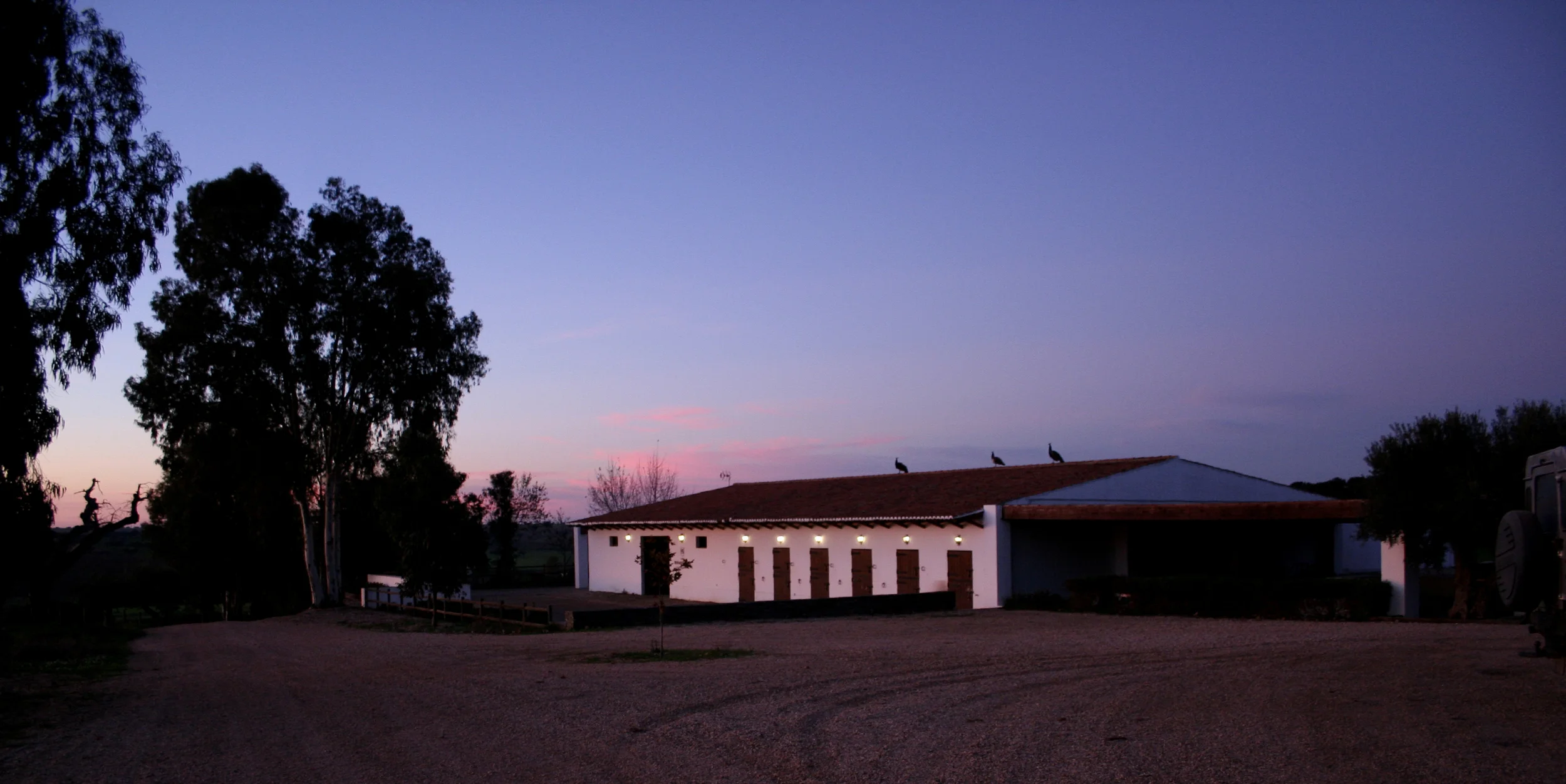 por do sol 3.jpg