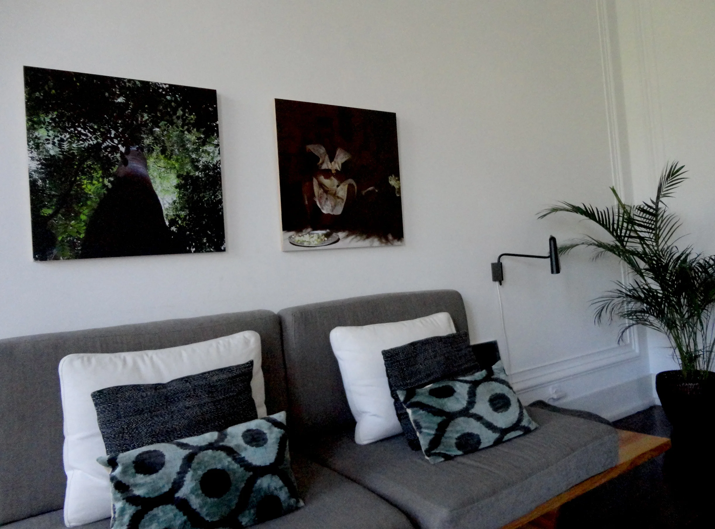 Fotografias de Tiago Cunha Ferreira