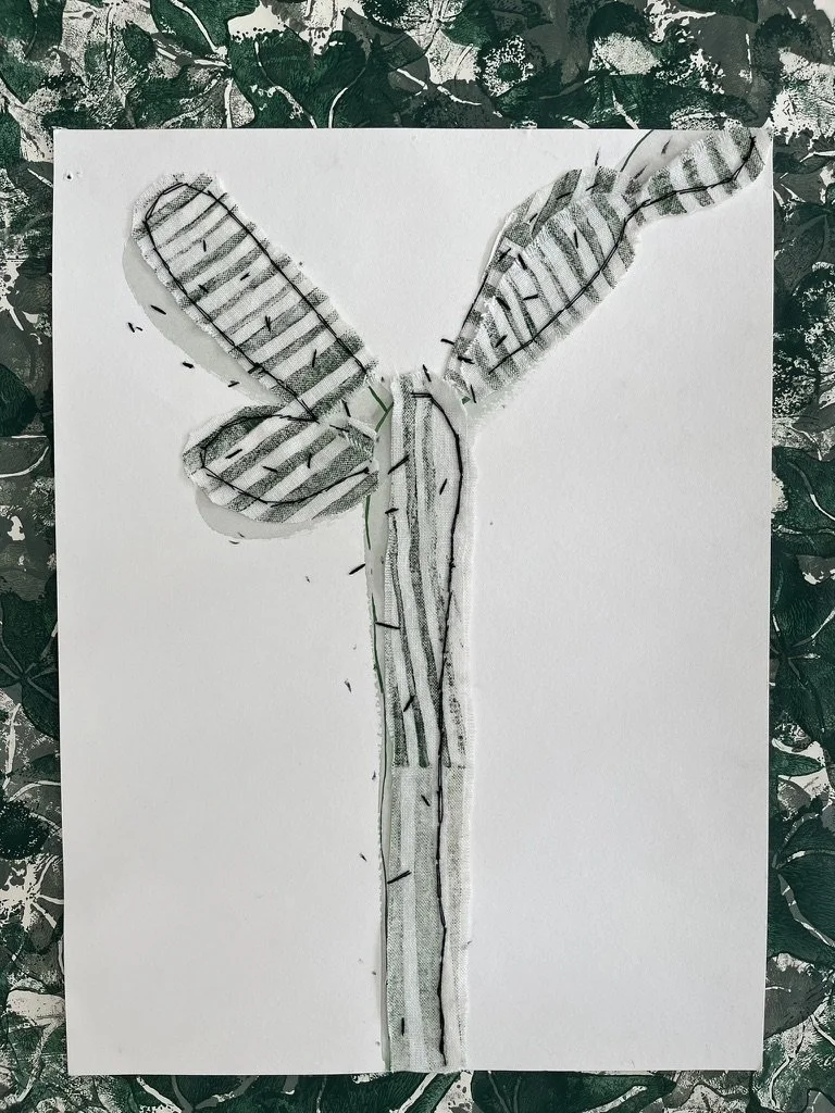 eliana tomaz colagem cacto 2.jpeg