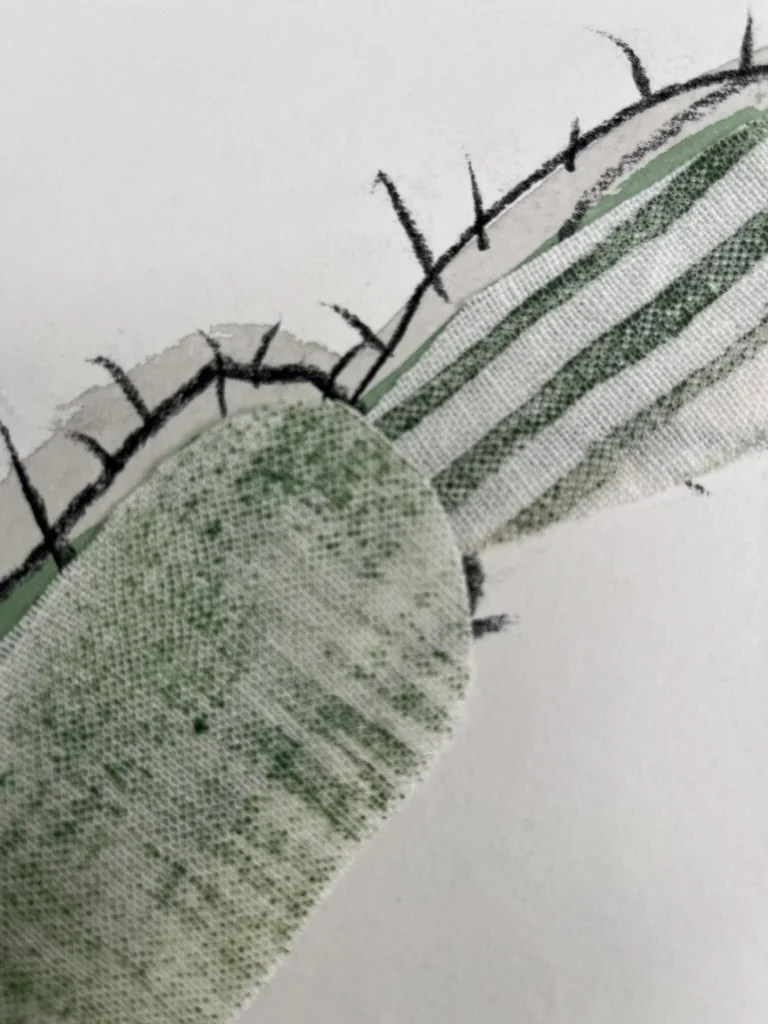 eliana tomaz colagem cacto 1 pormenor 3.jpeg