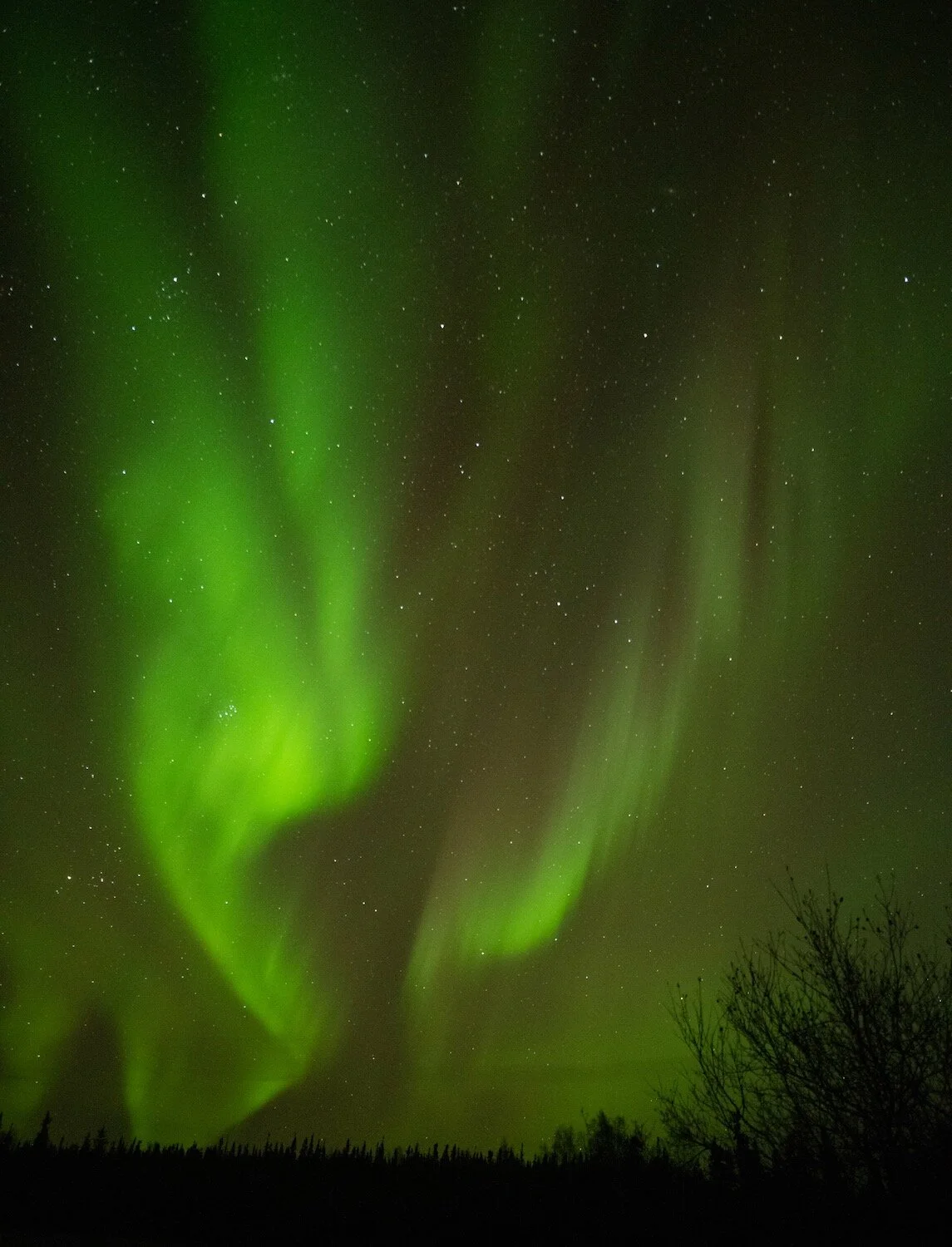 Yellowknife Aurora 10-5-19-18.jpeg
