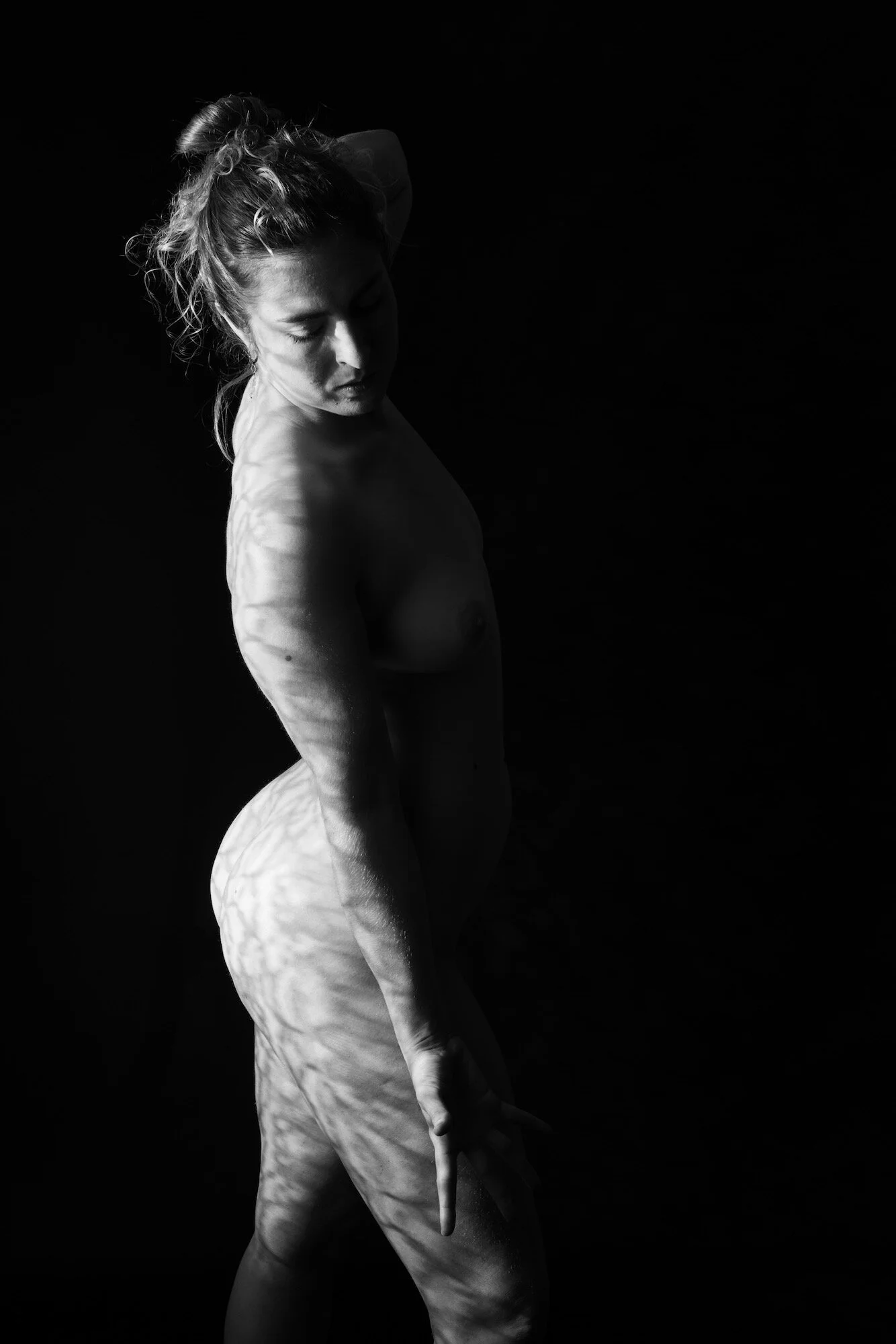 SOLARIA 11-24-19-65.jpeg