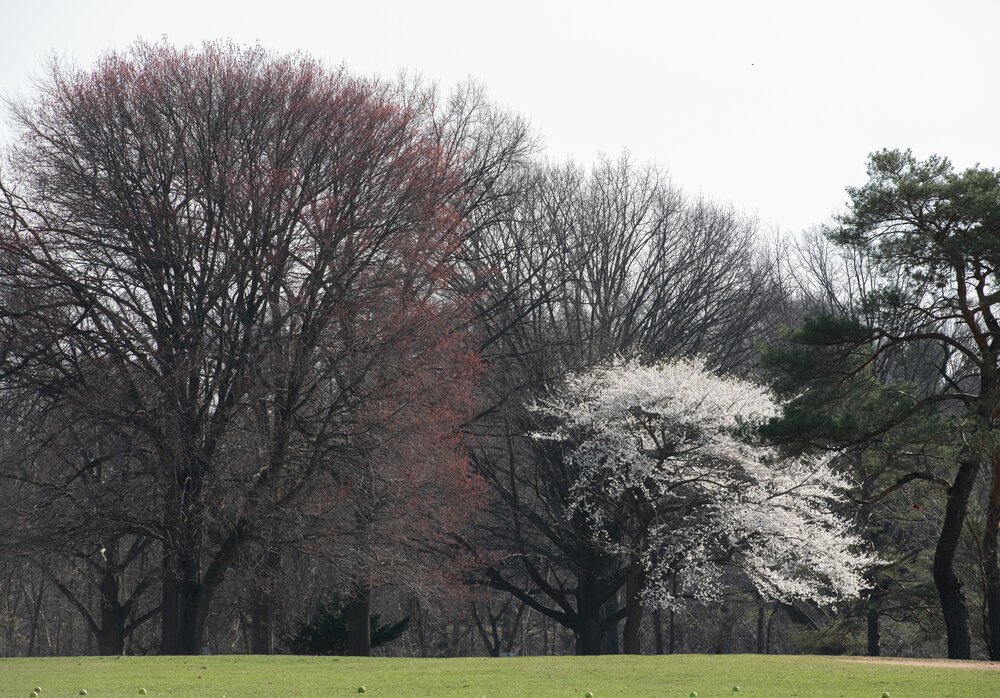 Rahway River Park 3-22-20-33.jpeg