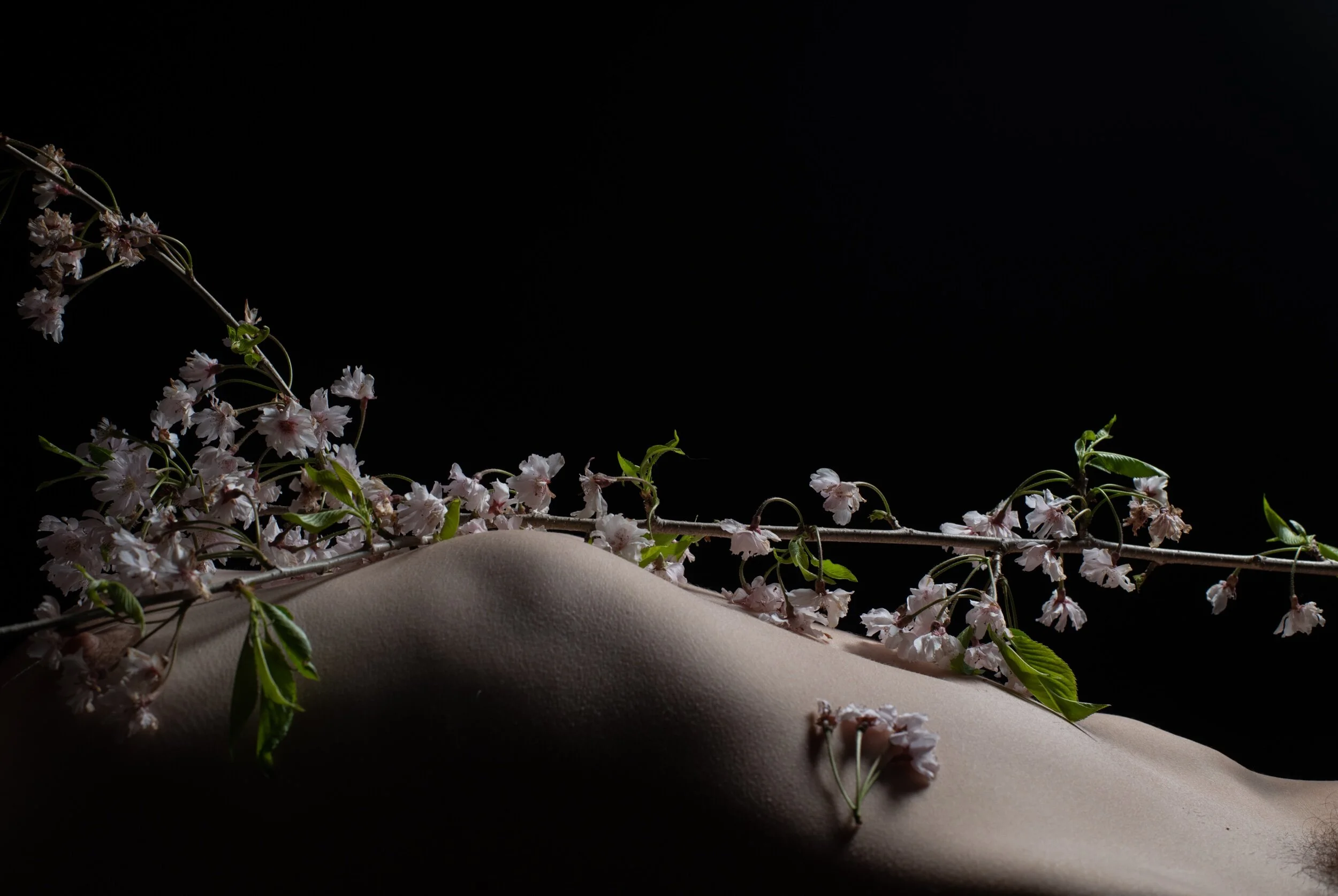 Perrin Marie 4-27-21-180.jpeg