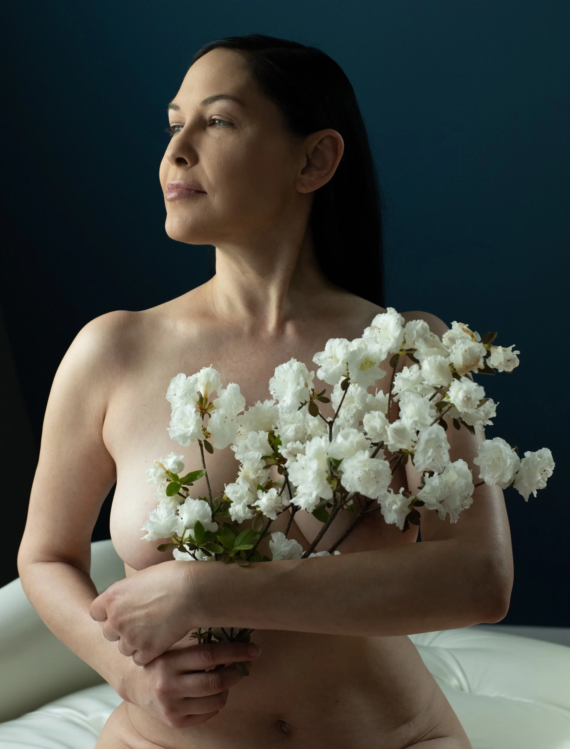 Vox Model 5-20-21-1.jpeg