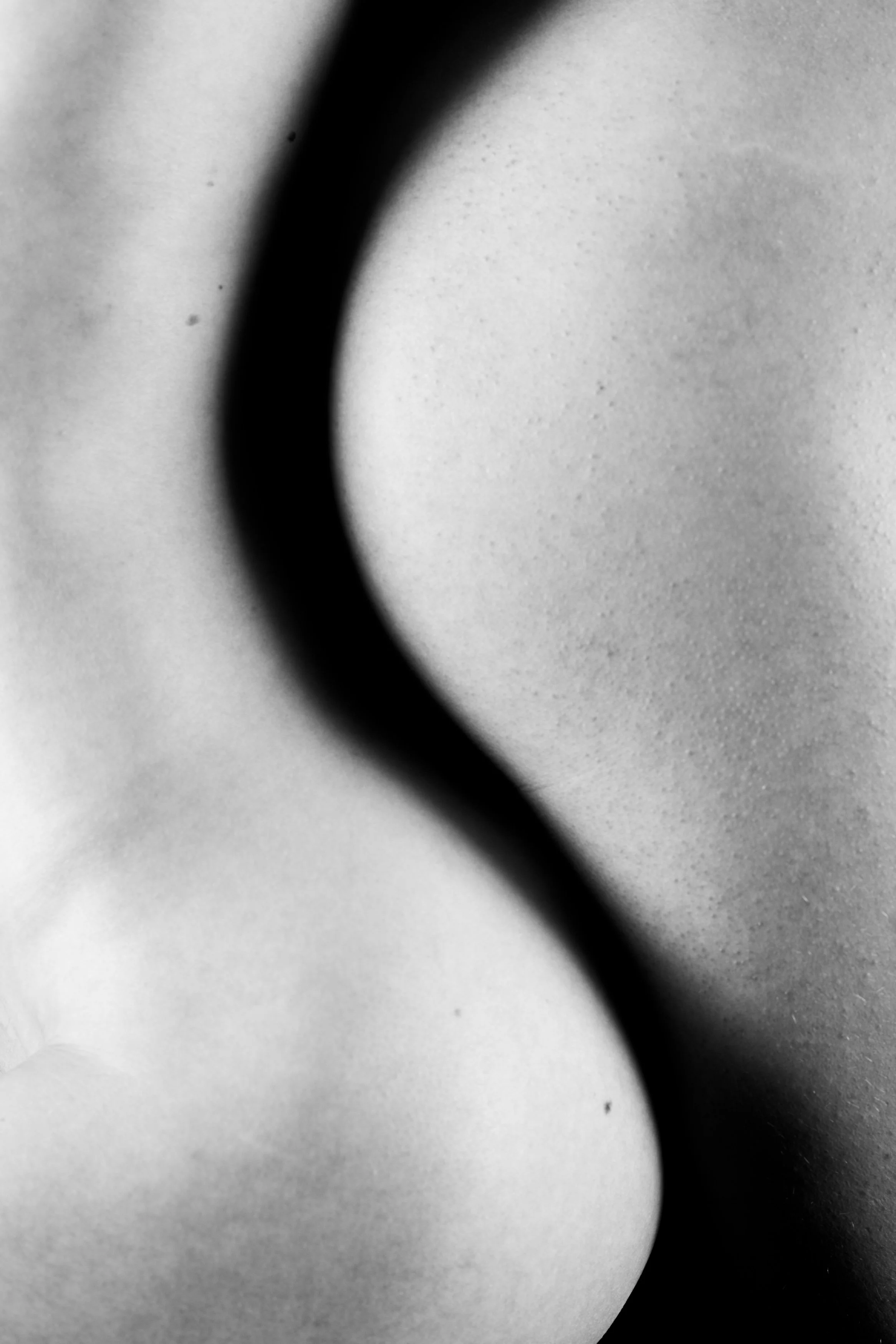 986D59CF-6C7A-4006-B906-A0E94EF1D7D5.jpeg