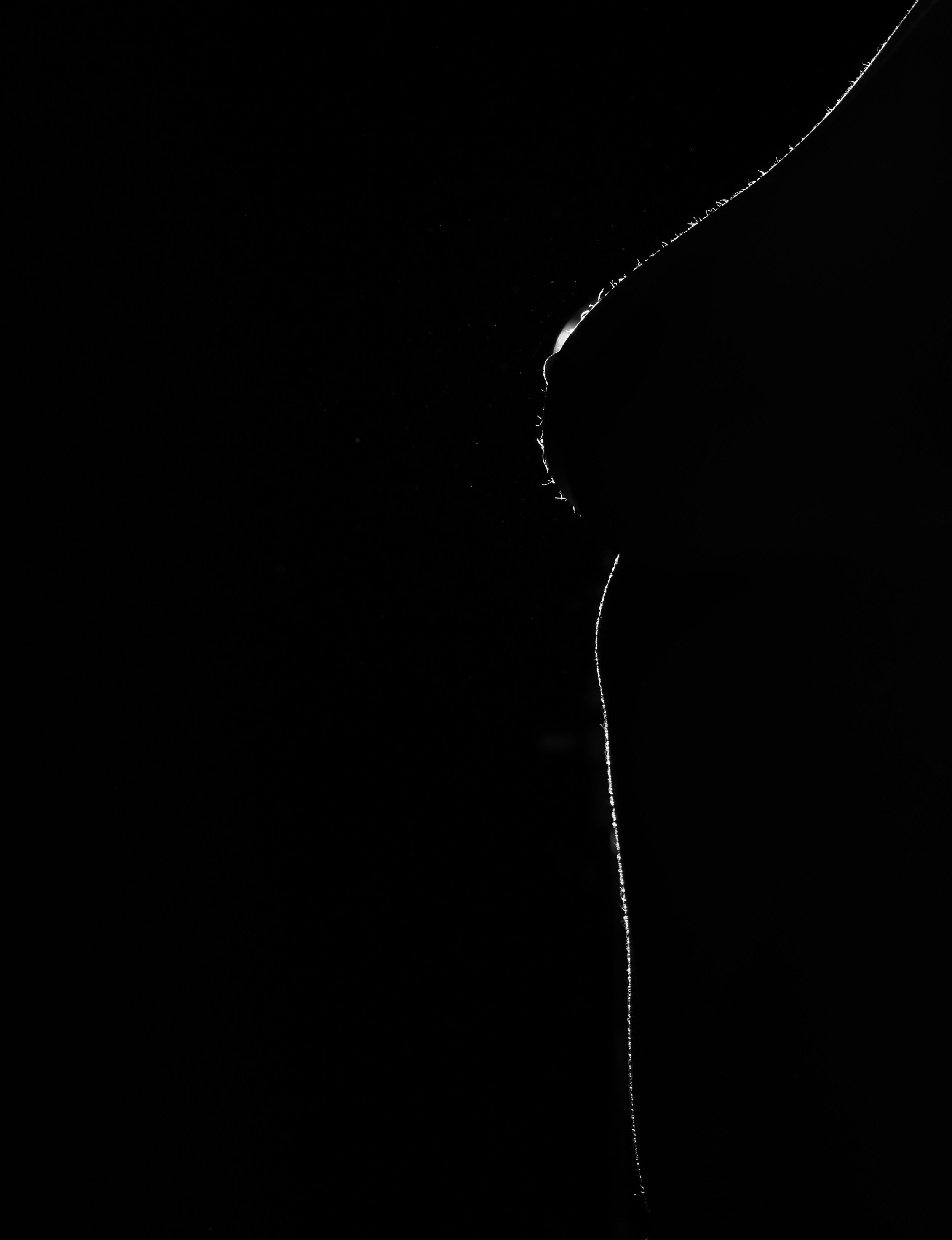 Anoush Anou at Studio 210 6-18-24-81.jpeg