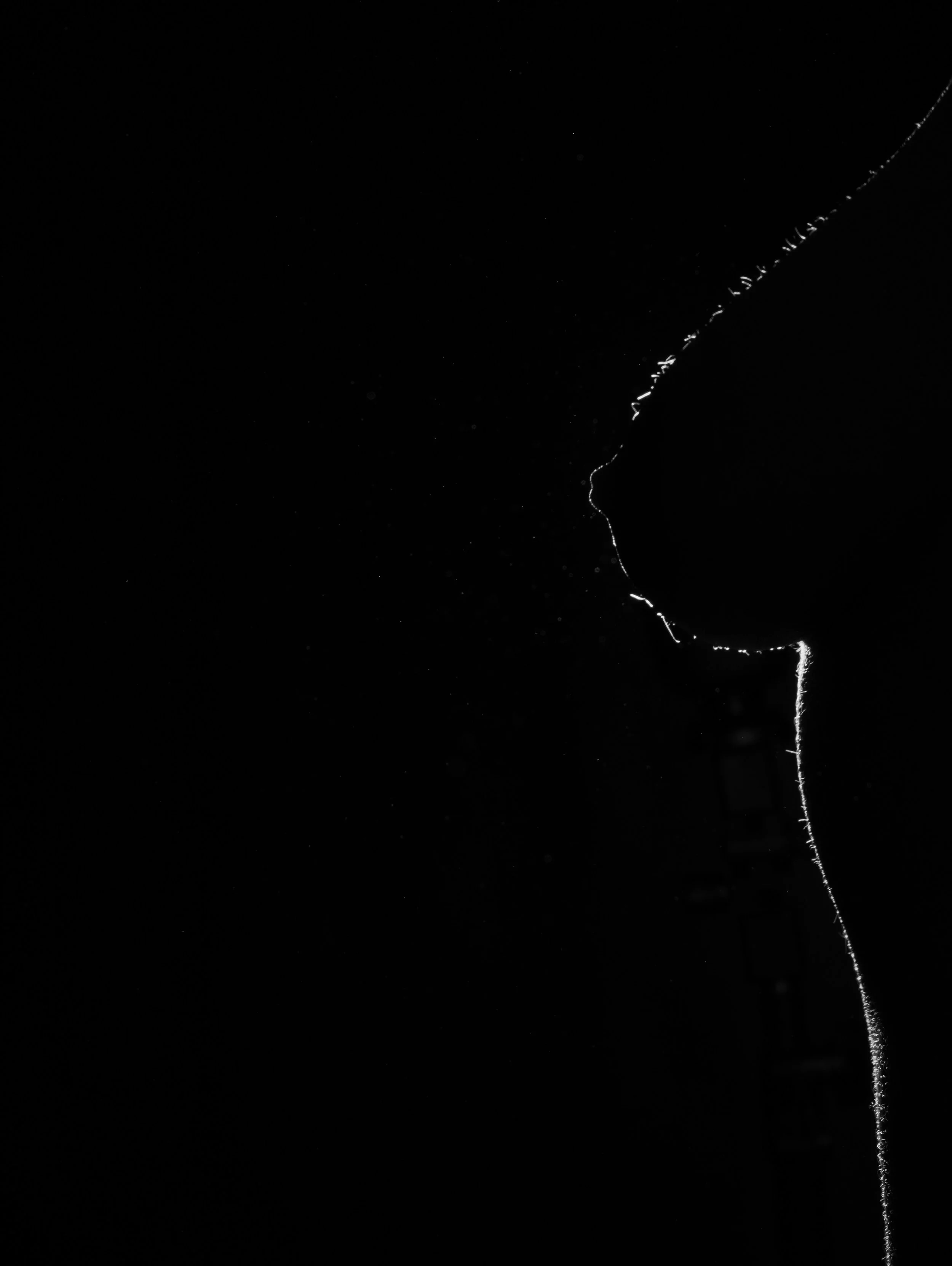 Manuela Abad at Studio 210 7-5-25-205.jpeg