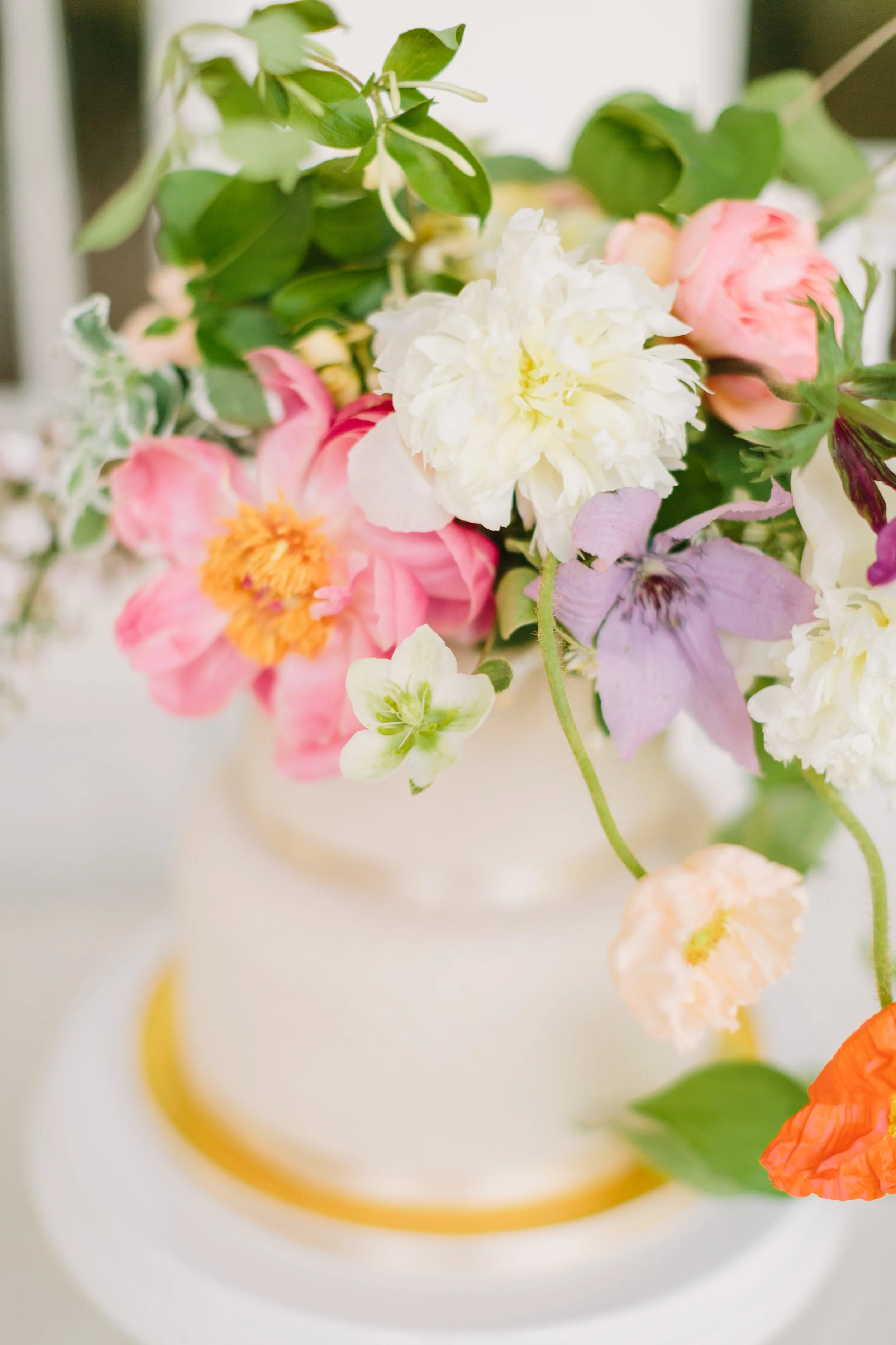 PHOTOGRAPHER : KATI MALLORY