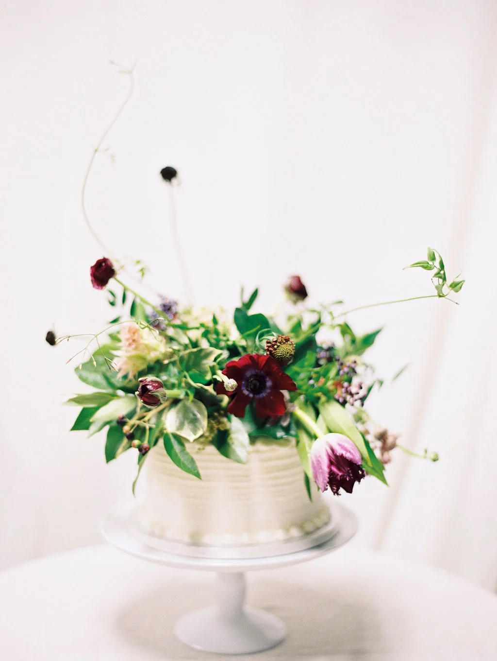 PHOTOGRAPHER : MEGAN HAMPEL