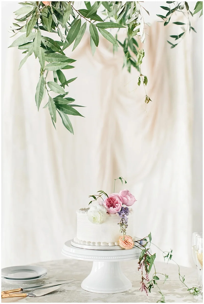 PHOTOGRAPHER : THE NOLANS