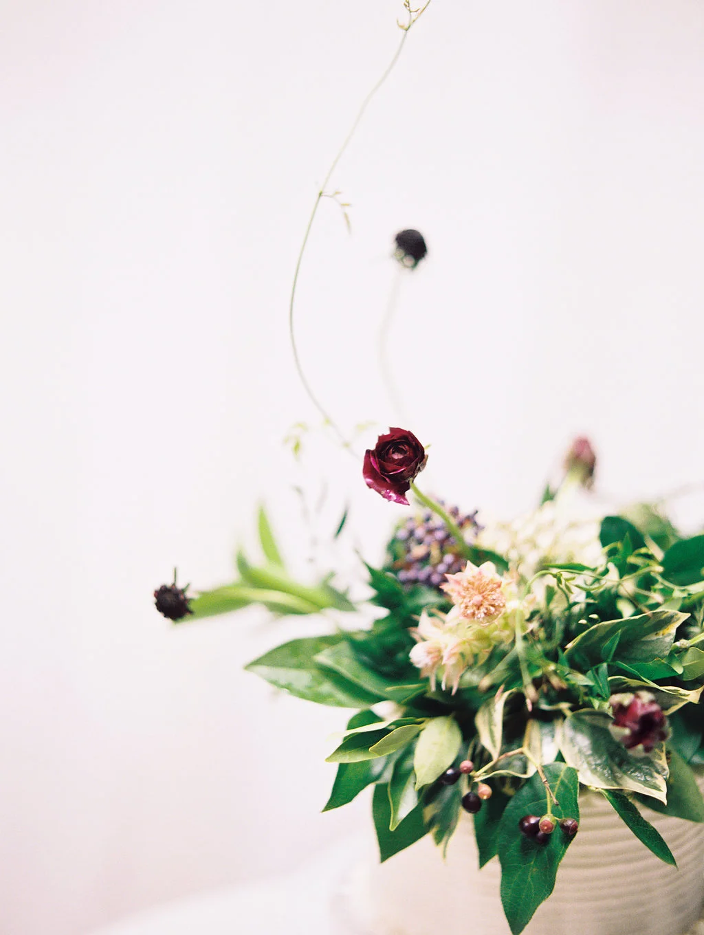 PHOTOGRAPHER : MEGAN HAMPEL