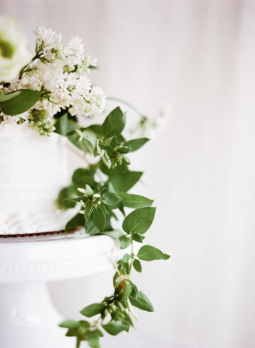 PHOTOGRAPHER : LAUREN KINSEY