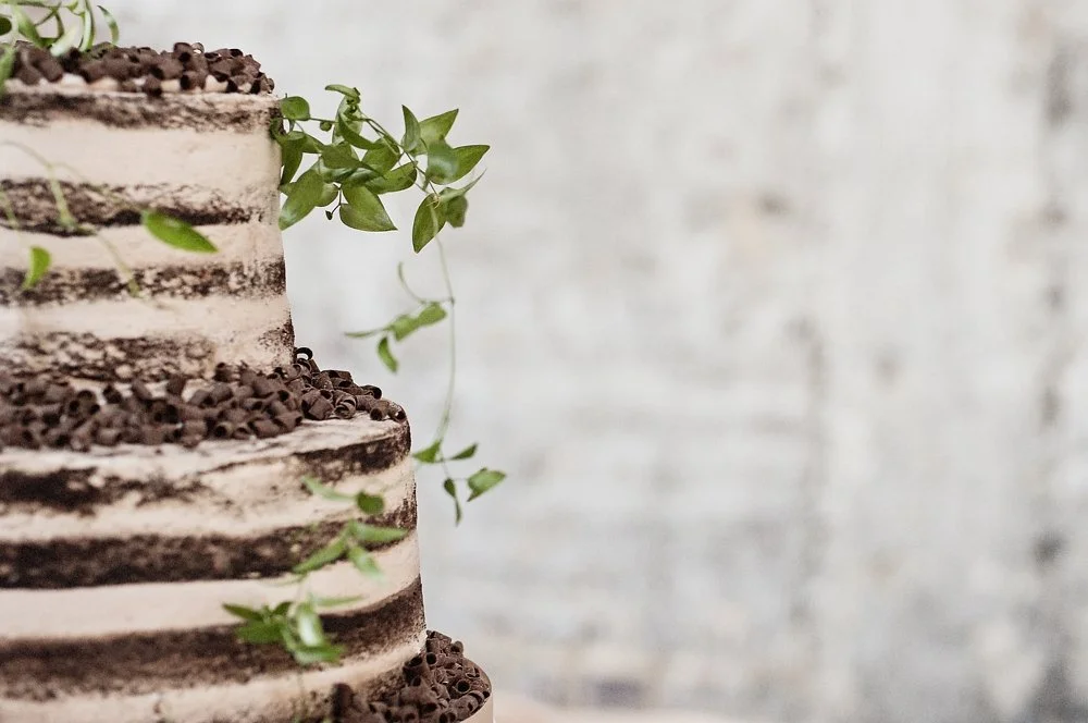 PHOTOGRAPHER : WHITNEY BOWER