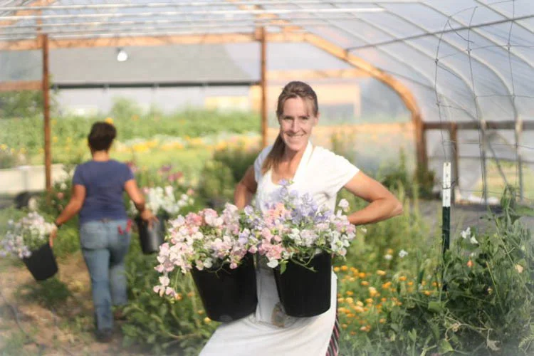 “I've been in the flower business for 11 years. Mostly, I'm a flower grower and I added designing 4 years ago. When it comes to floral design, I've paid for and taken lots of on-line education from leading designers to better understand design, how to properly price and present quotes, and grow the design side of my flower farm. When it came to the business side of flowers, none of them gave me the processes & procedures. None of them gave the language and confidence. None of them gave me specific, actionable steps that actually grows a business. I was skeptical about BBB...is this really going to be worth it and give me what the others did not? But as I move into my season, having implemented and digested all that was presented, I find myself using what I have learned and being confident about my choices. BBB will probably be the one course that was the clincher to my overall success...and it was the one course I was most skeptical to buy. Go figure. The Business Behind the Blooms took off years of errors and put me on the right track. That means everything to my success as a floral business.” –Paula Rice BeeHaven Flower Farm Bonners Ferry, ID