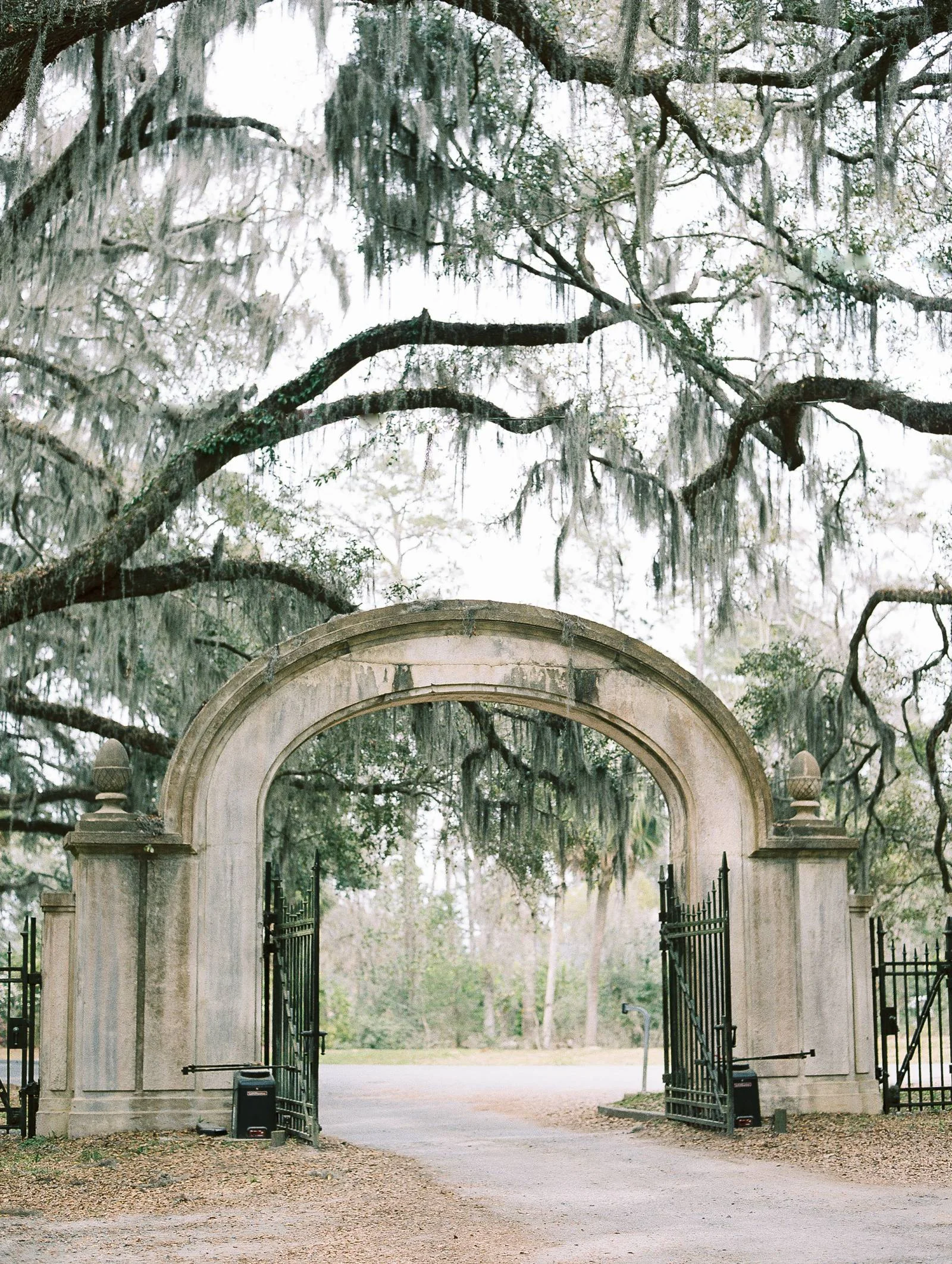 jessica-zimmerman-events-bridal-portrait.jpg