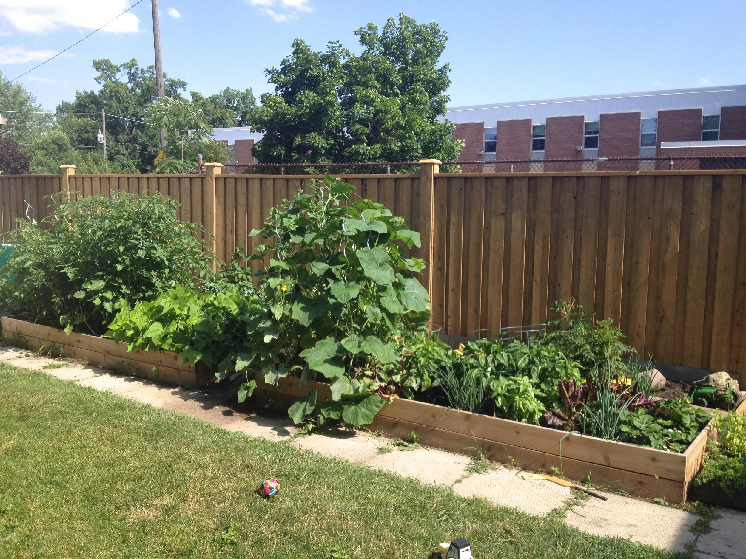 3 Must Haves for Veggie Garden Success!