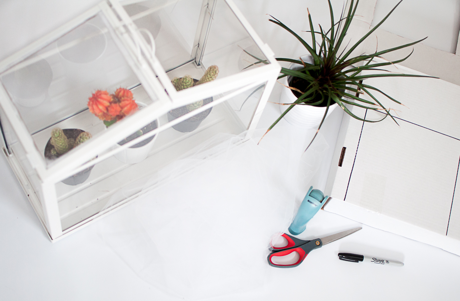 From Caterpillar to Butterfly - Habitat Inspiration & A Super Simple Ikea Hack