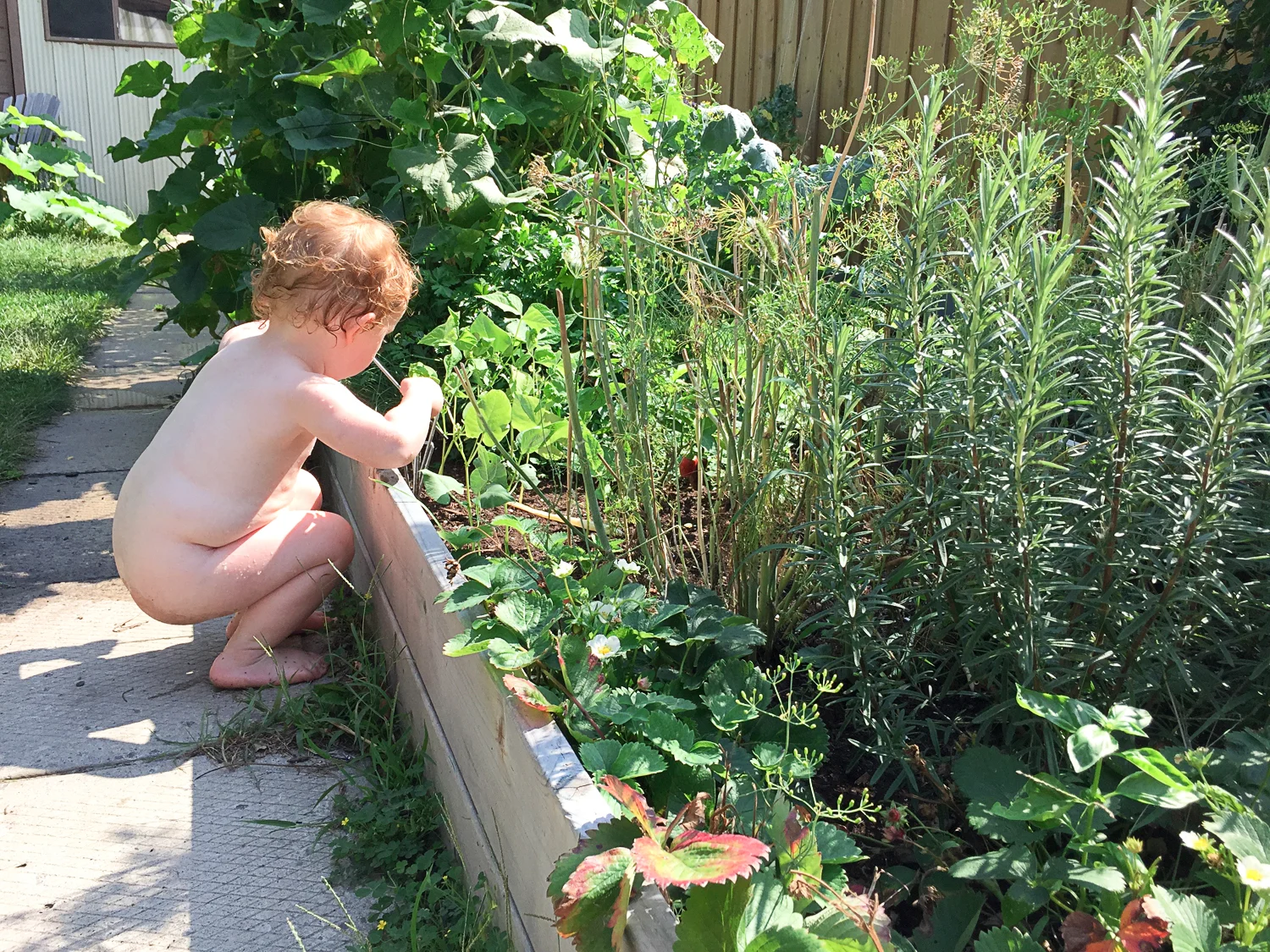Simple DIY Raised Garden Beds