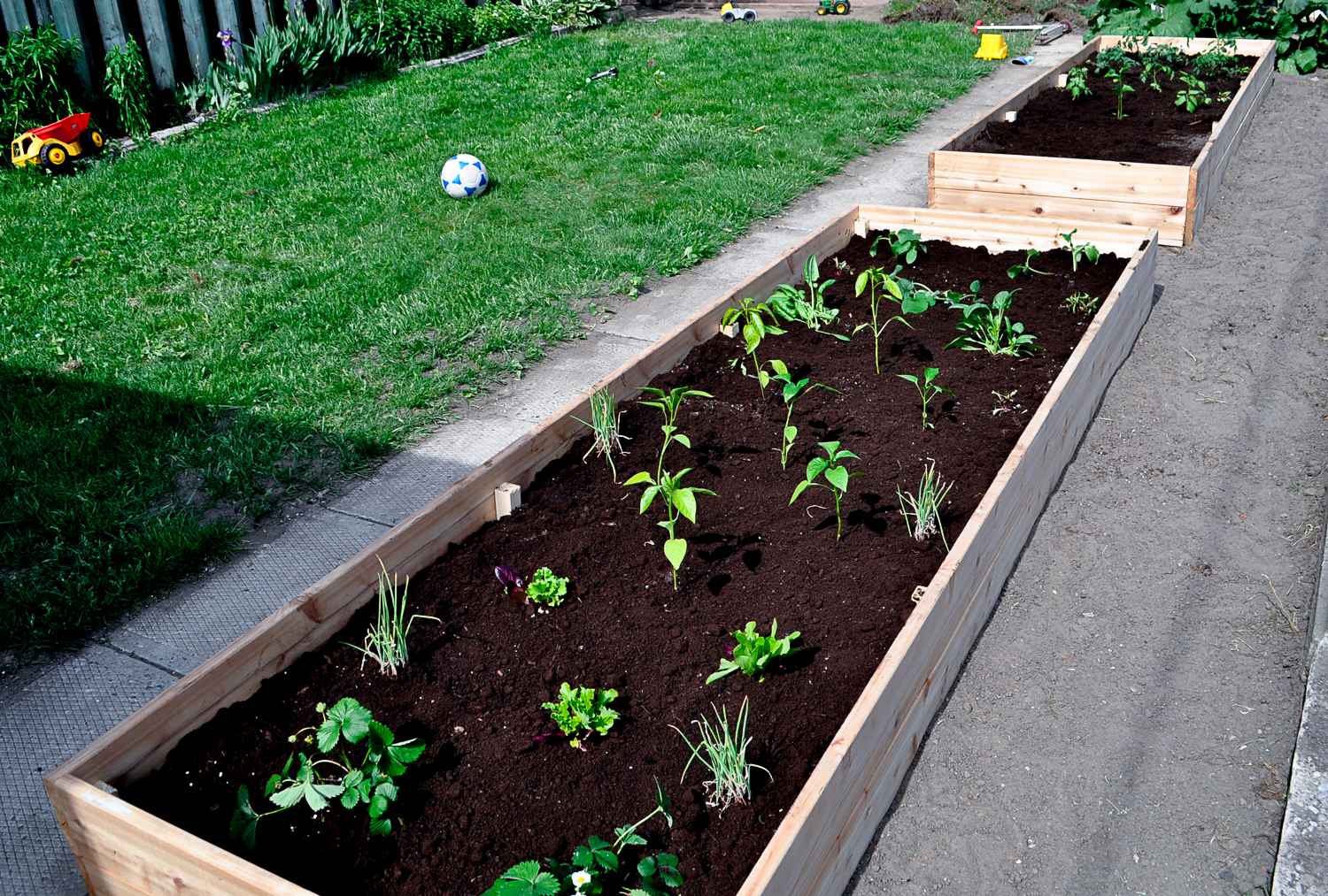 WithCare-Raised Beds-0526.jpg