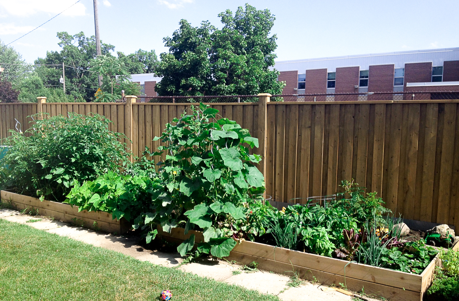 WithCare-Raised Beds-3710.jpg