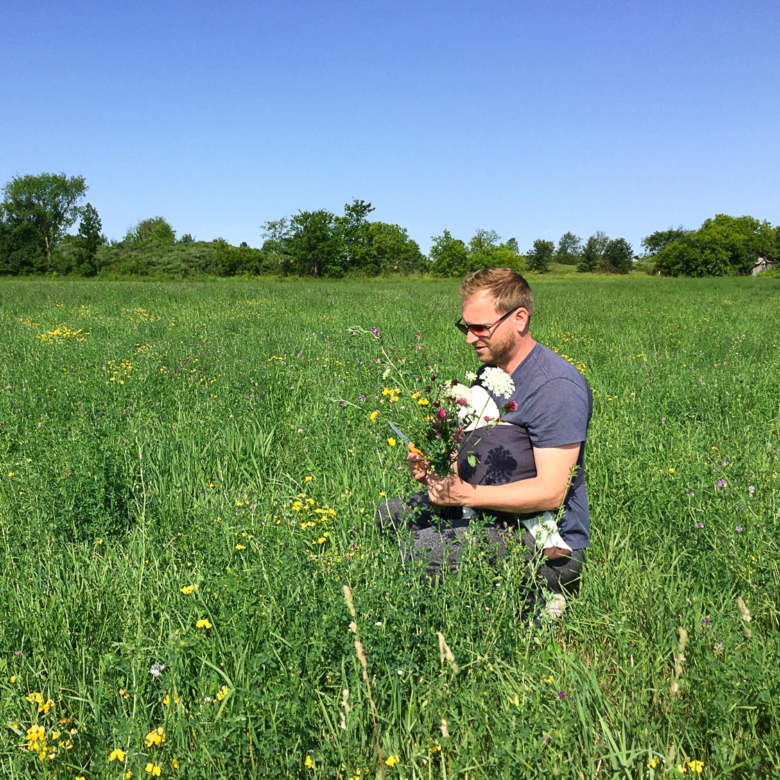 Picking Wildflowers 