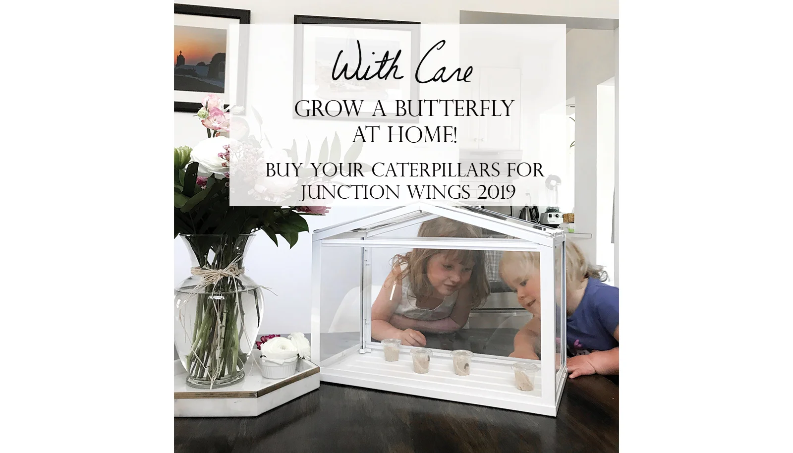 Grow A Butterfly! Buy Your Caterpillars NOW for Junction Wings 2019 - Community Fundraiser 