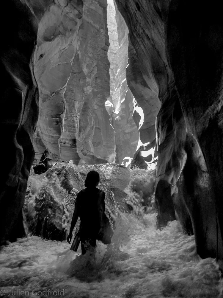 Pedo mellon a minno *