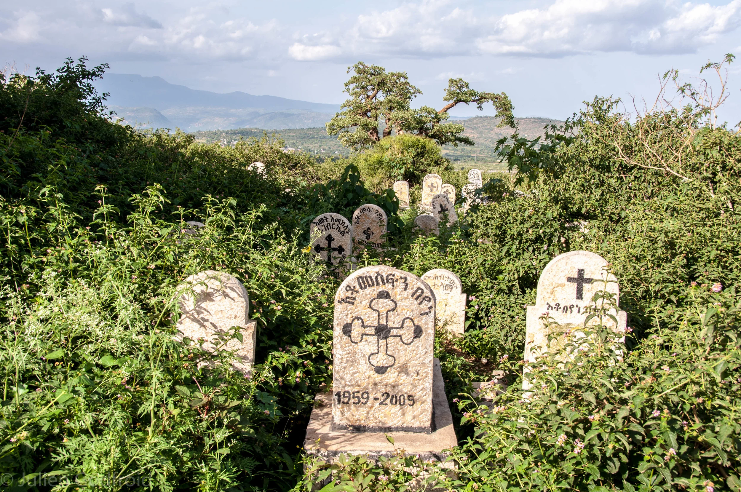 De hiena en hiena y tiro porque me toca