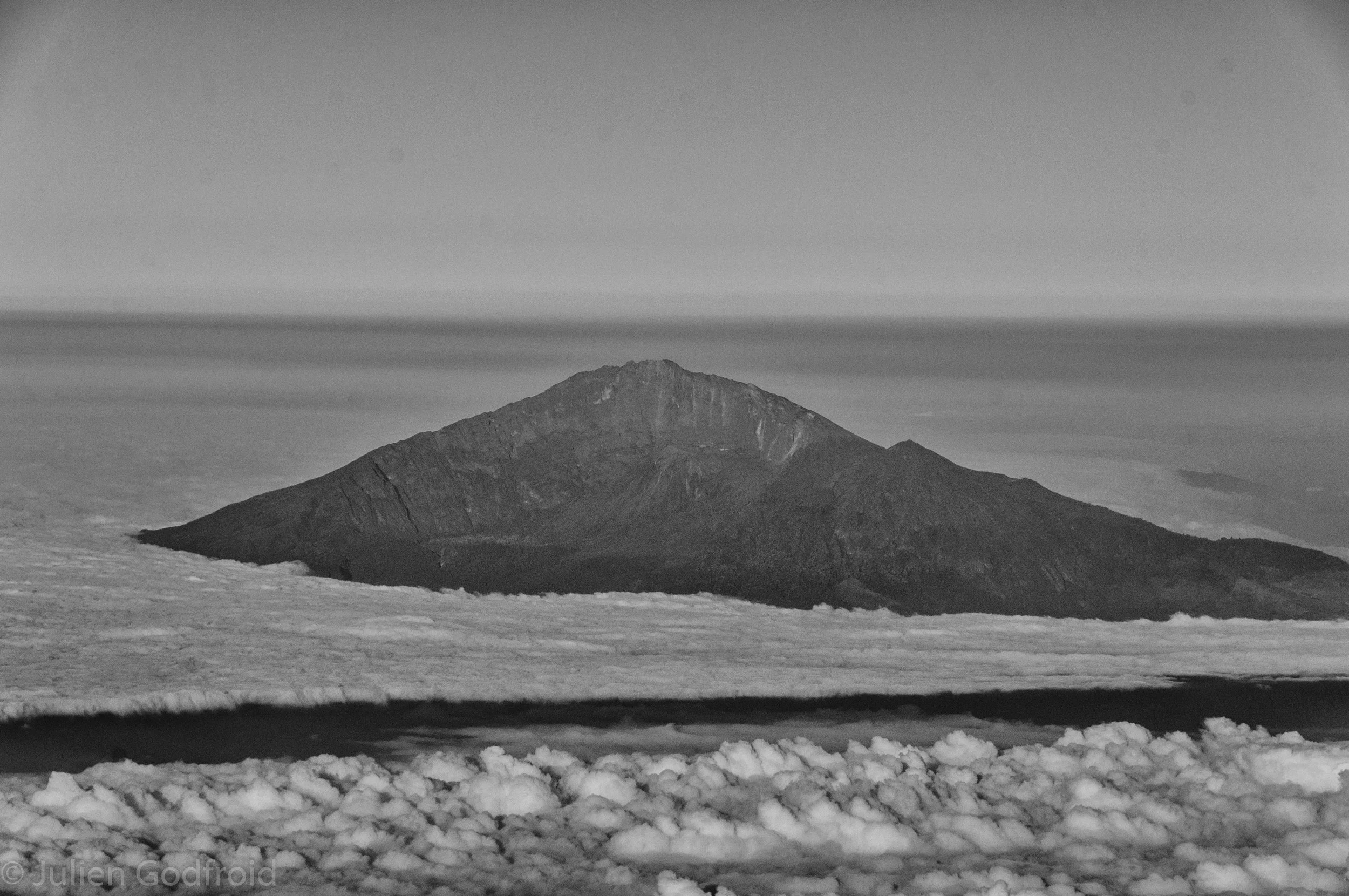 Safari or not safari...