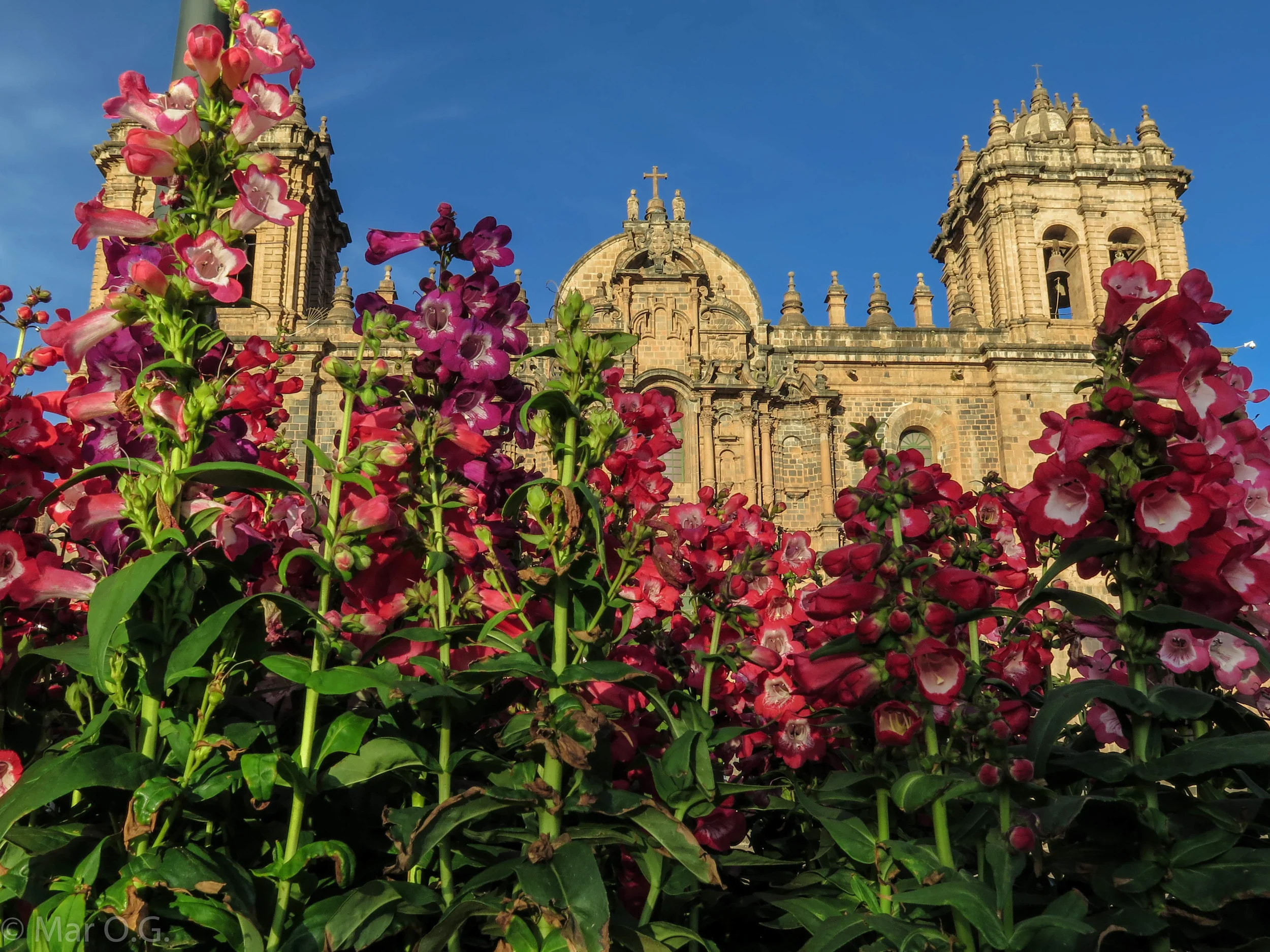 Cuzco