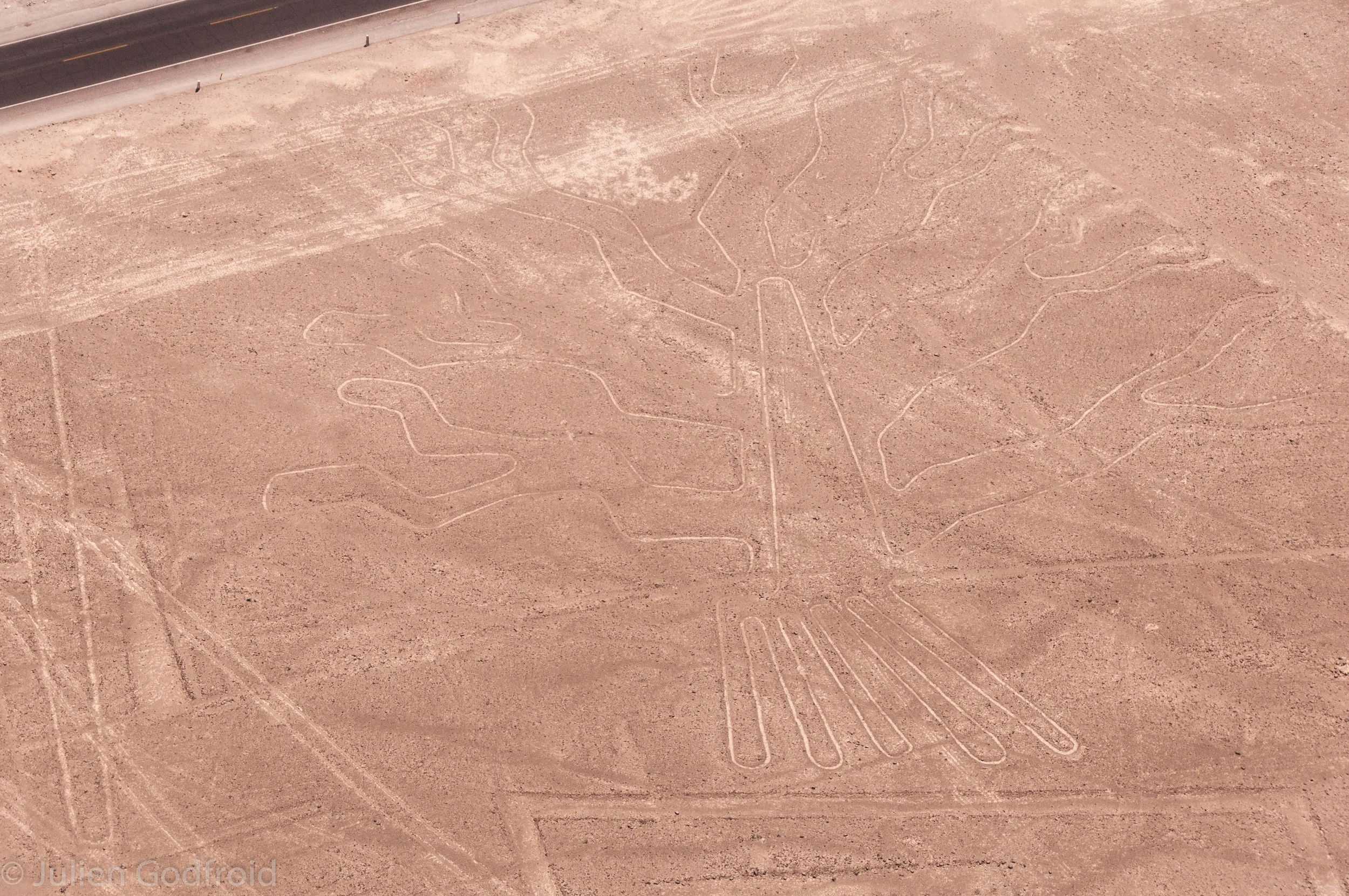 Nazca