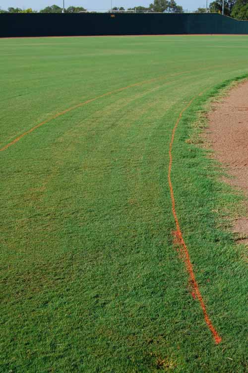 Marking Problem Areas - Back Arch