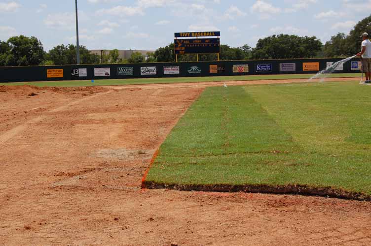 After: Second to Third Base Line