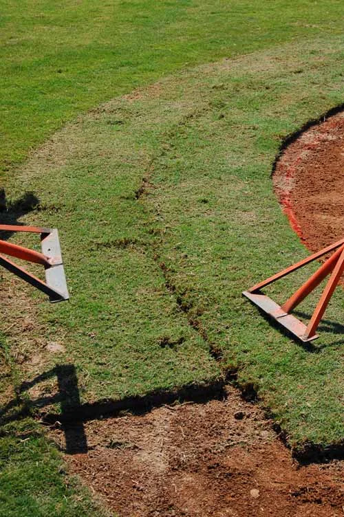 New Sod Install - Grass Rake