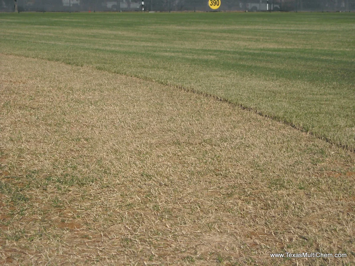 dscn0115.jpg