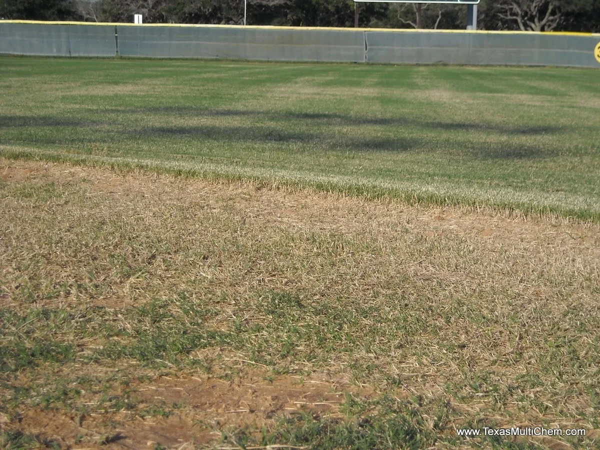 dscn0119.jpg