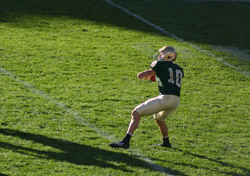 nd grass smaller.jpg