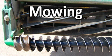 Sports Field Maintenance: Mowing