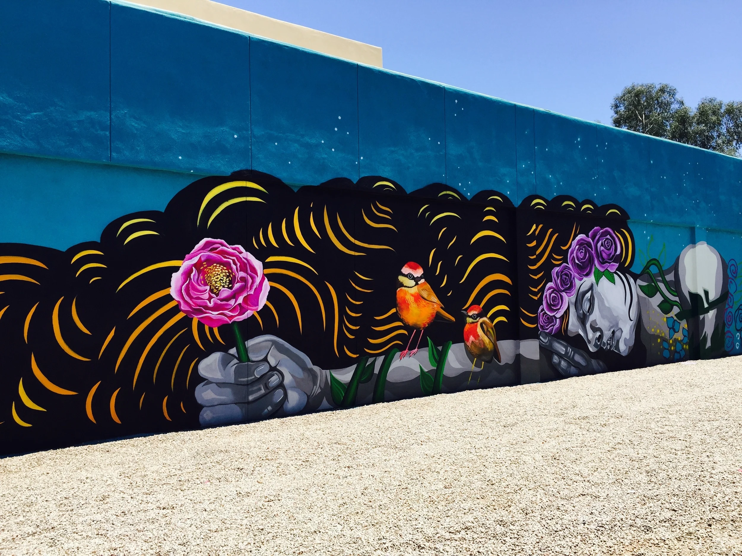 Don't Wake The Dreamer...