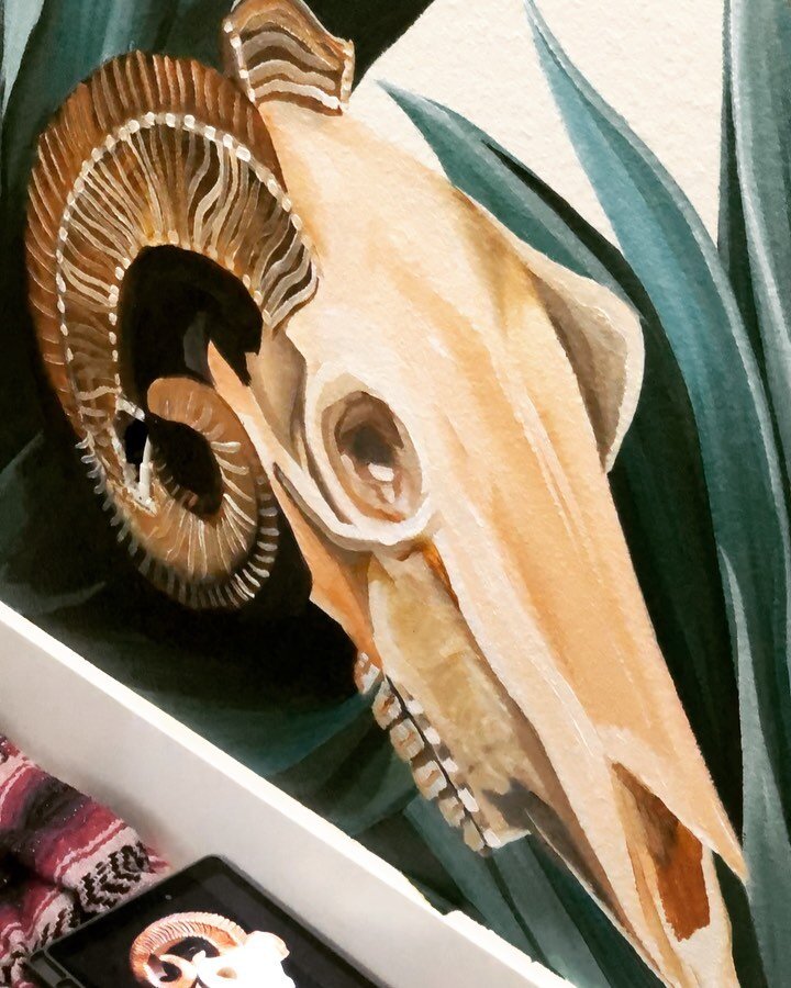 Time lapse of a ram skull, always fun to paint something I&rsquo;ve never painted before! Leave any questions in the comments, and swipe left to see it in its natural habitat now 🐏🌵💘✨🙏 #desertcoveairbnb #phoenix #timelapse #finearttutorials #dese