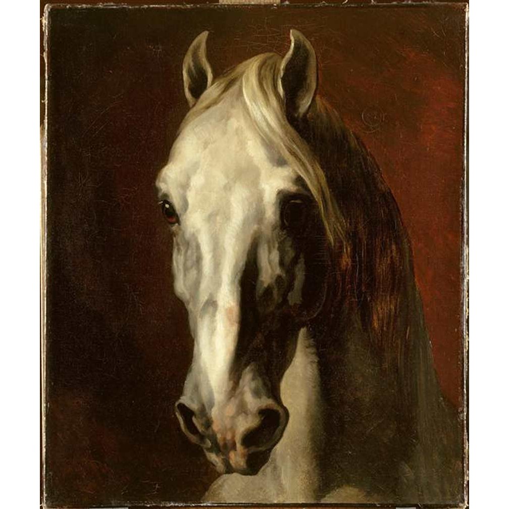 the-head-of-white-horse_painter-theodore-gericault.jpg