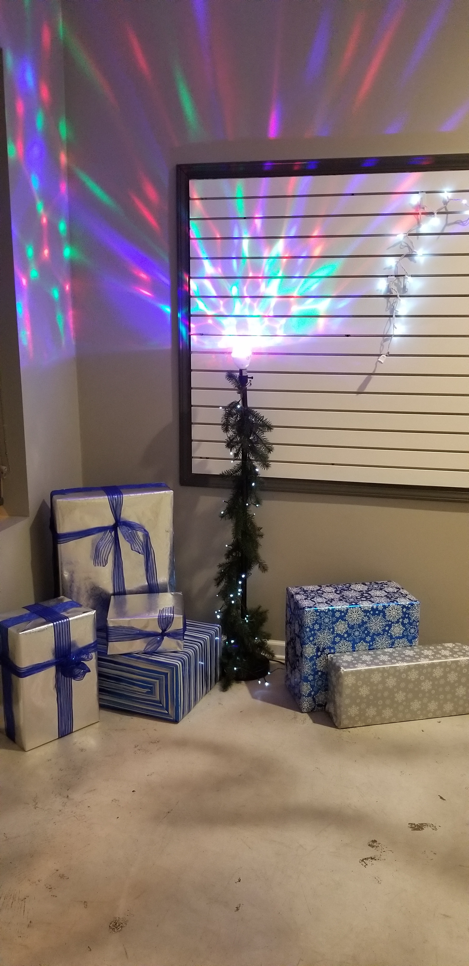 20181213_184150.jpg