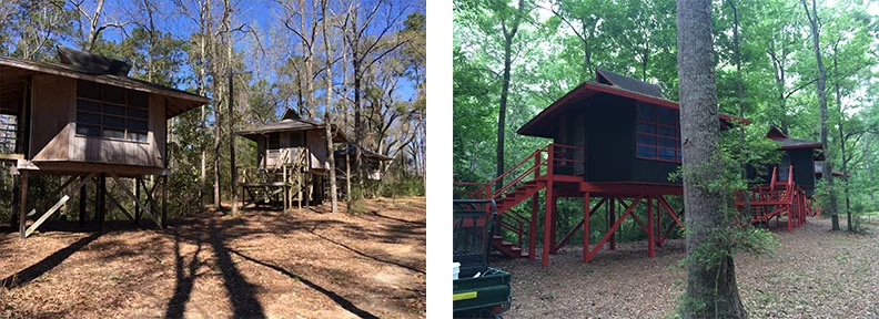 Cabins