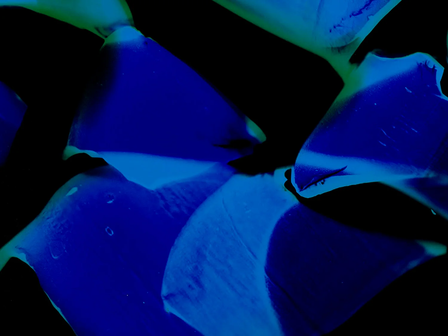 Try, but it's gone in the end