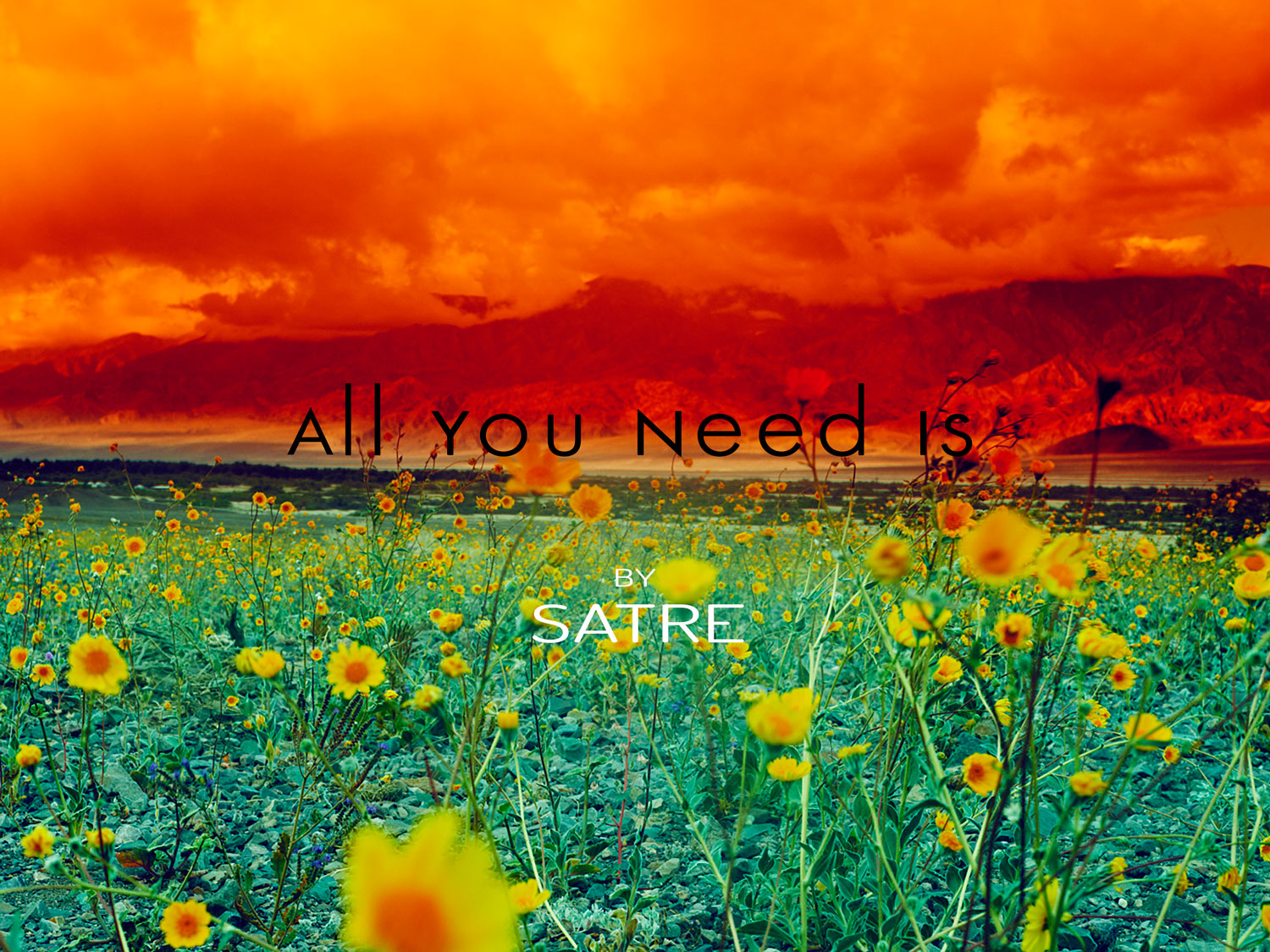 All-You-Need-Is-Front-1500-geir-satre-a.jpg