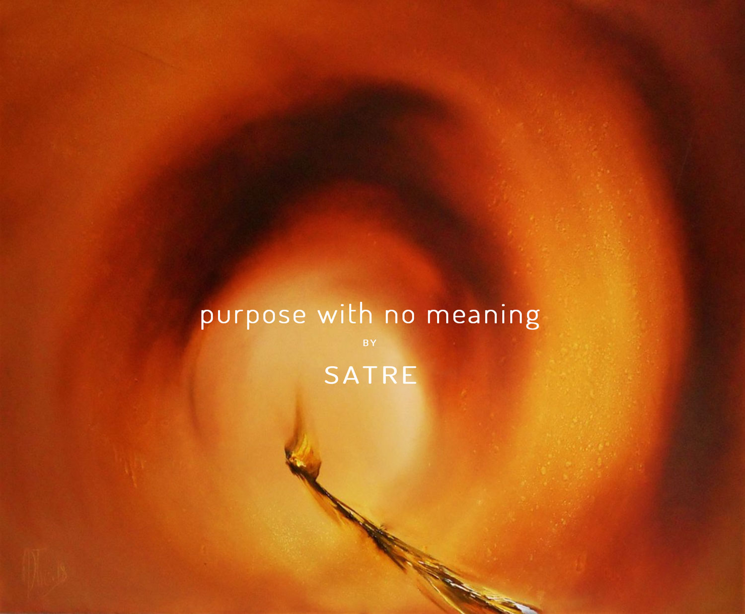Purpose-WIth-No-Meaning-front-1500-geir-satre.jpg