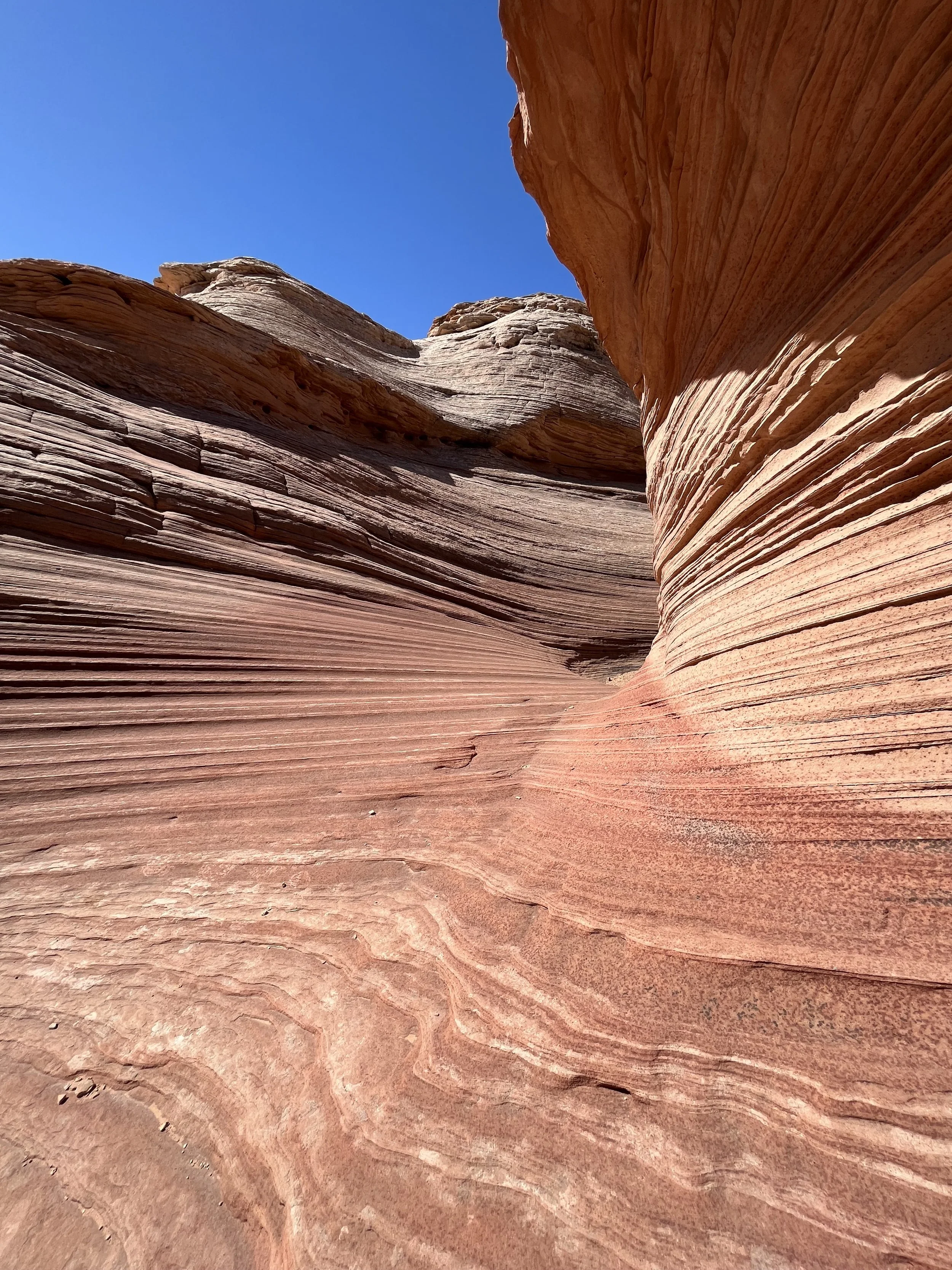 Group Adventure Beehive Hike.jpg